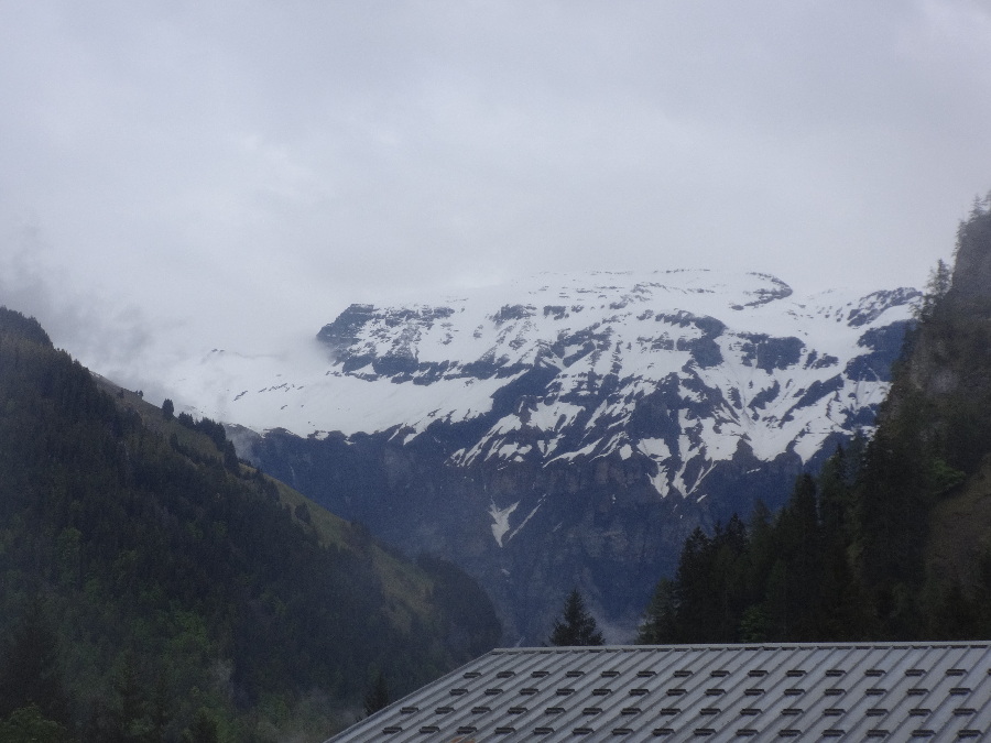 DSC02160