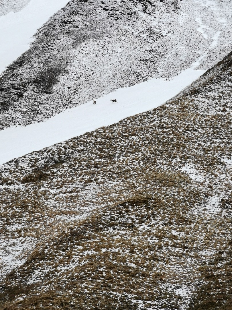 Img 20210514 135203