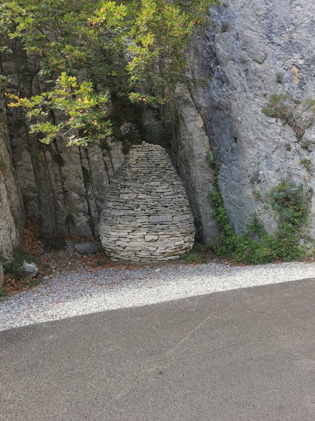 Img 20210918 134331