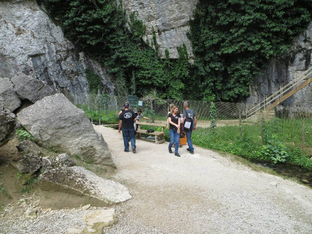 IMG_5907