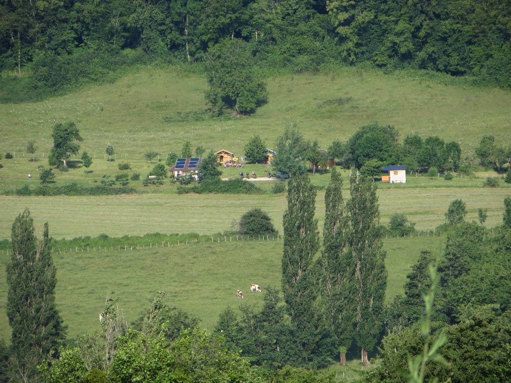 IMG_5982