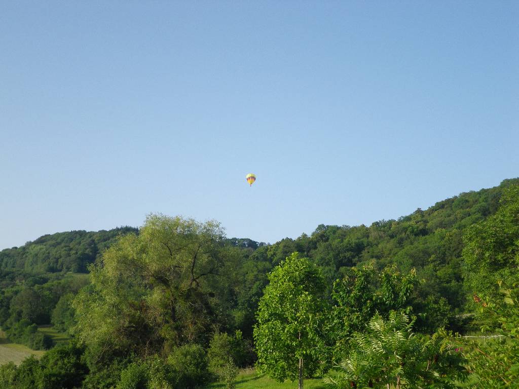 IMGP5475