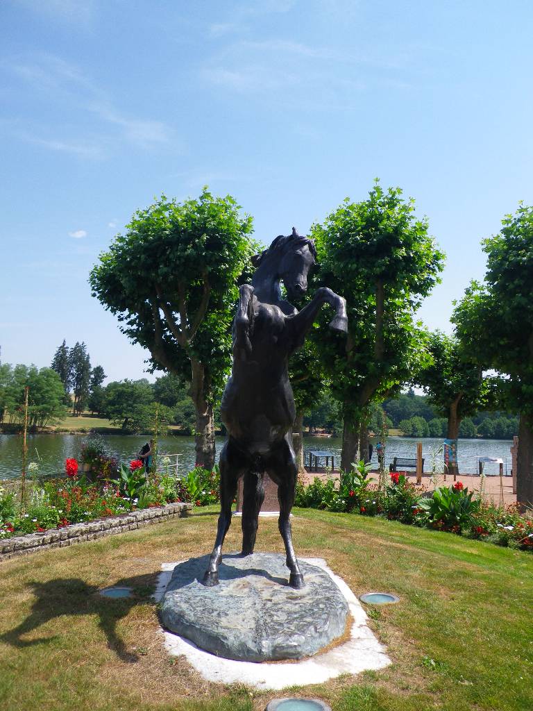 IMGP6235